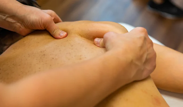 The 3D Swedish Touch Massage